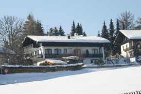 Отель Gästehaus am Berg, Байериш-Айзенштайн